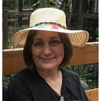 Susan M Rowe