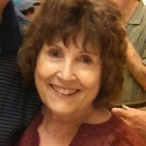 Susan J Schildmeyer
