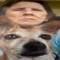 Donna Lecie Cooper