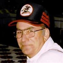 Don E. Springer