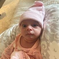 Isla Victoria Berry