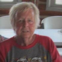 Phyllis Joann (Hines) Papke
