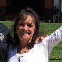Sue Cook
