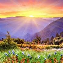 Carolyn J. "Carol" Trent Smith