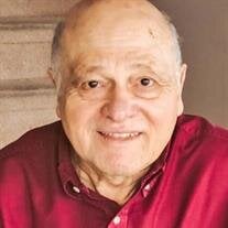 Vincent S. Giorgi