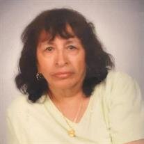 Julia Lucia Segura Camacho