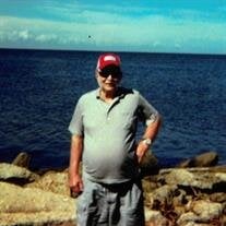 Roy D. Walston