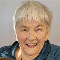 Sandra Sue Hildebrand