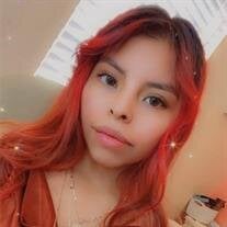 Cynthia Guadalupe Santos Mejia