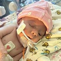 Eleanor Blaine Gainer