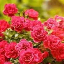 Fronie Roselle Ray