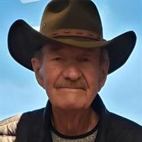 Theodore Roy Nielsen Jr