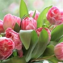 Martha Ann Crocker