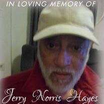 Jerry N. Hayes