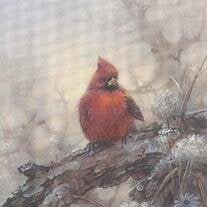 Portia Juanita Ball Henry