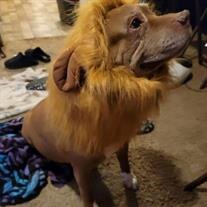 Tyson