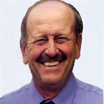 David L. Sternberg