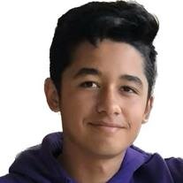 Mr Andrew David Lopez