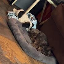 Luna & Osito