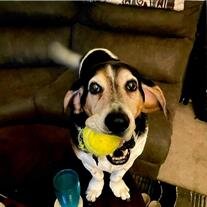Oreo (Von-Biscuit) Smith