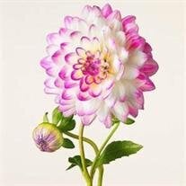 Jessica Sue Roberts