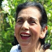 Guadalupe Capistran Perez