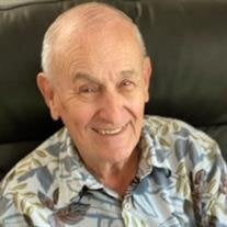 Philip J Julian