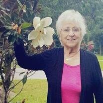 Ann F Spadoni