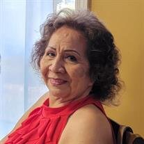 Delfina Stubblefield
