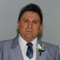 Milan Vlascici