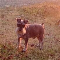 Baxter