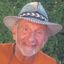 Walter E. Surko Jr.