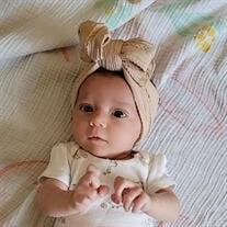 Abigail Lavelle Oulman