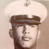 Mr. Robert Jones