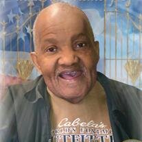 Mr. Alex Walker