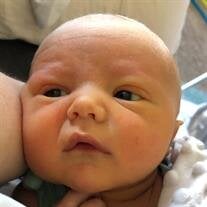 Cohen Oliver Anderson
