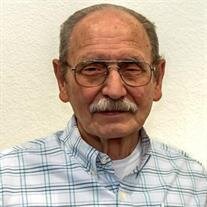 Robert Ray Mansch