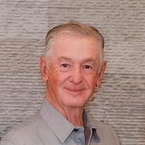 Robert J Bush