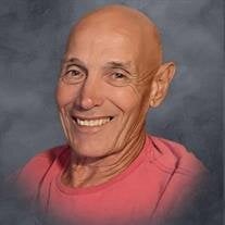 Victor Edward Stanek