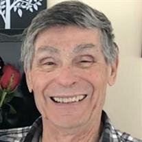 Ronald W. Van Culin