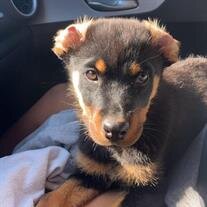 Zoe