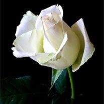 Helen Marie Bridges