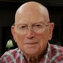 Raymond Lee Head