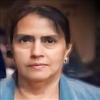 Maria Carmen Delgado Sosa