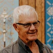 David "Dave" Stoltz