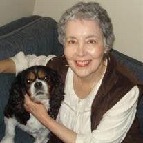 Sandra Allen Lovegrove