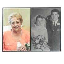 Shirley Ann Hughes Finkelstein