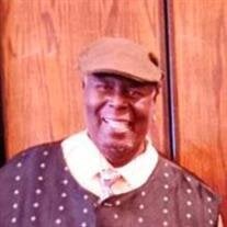 Mr. Willie Elvis Williams