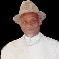 Mr. Mose Walker Jr.
