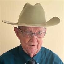 Ervin J. Walz